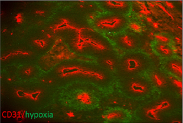 5403f82e-dc30-4be3-98c2-19793db9bd98