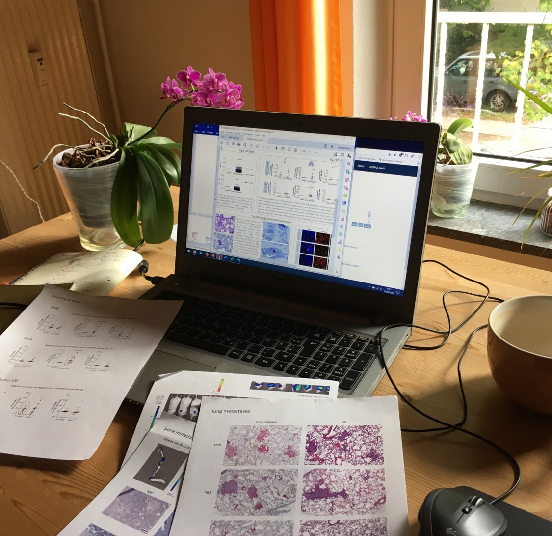 P16_BlogBeitrag 2020_2